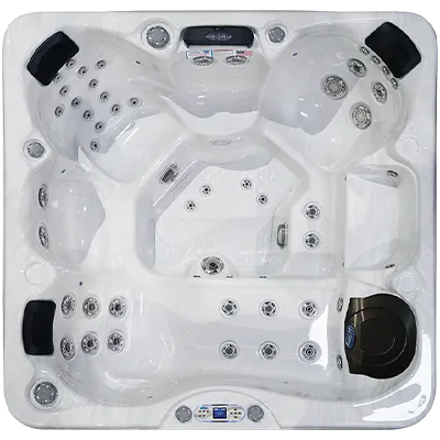 Avalon EC-849L hot tubs for sale in Madison