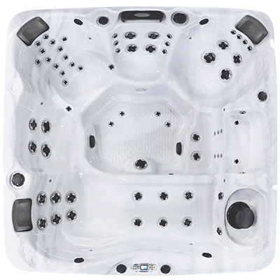 Avalon EC-867L hot tubs for sale in Madison